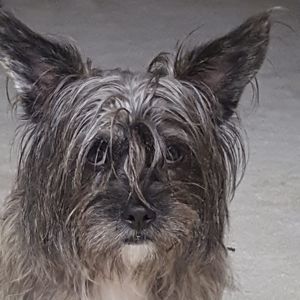 Meet your Posher, Janice